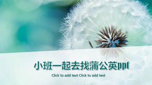 小班一起去找蒲公英PPT课件
