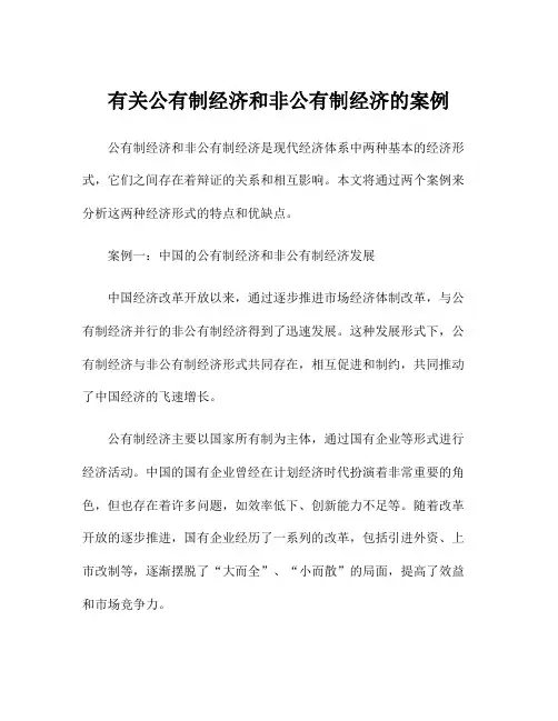 有关公有制经济和非公有制经济的案例