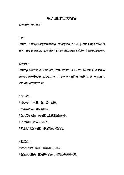 蛋壳原理实验报告