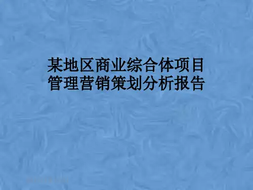 某地区商业综合体项目管理营销策划分析报告