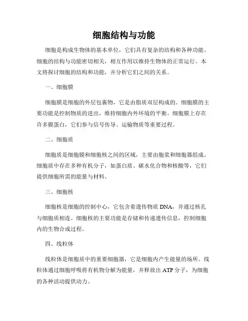 细胞结构与功能