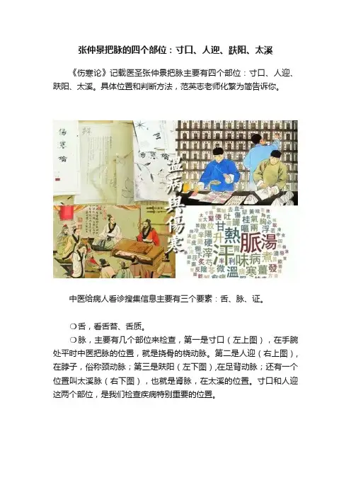 张仲景把脉的四个部位：寸口、人迎、趺阳、太溪