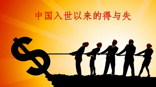 中国入世以来的得与失