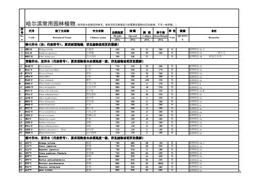 00城市专用：哈尔滨地区苗木表