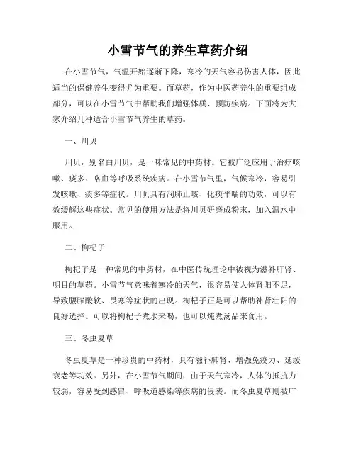 小雪节气的养生草药介绍