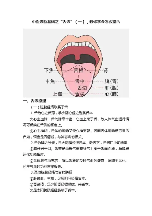 中医诊断基础之“舌诊”（一），教你学会怎么望舌