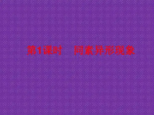 《从微观结构看物质的多样性》课件2(苏教版必修2)