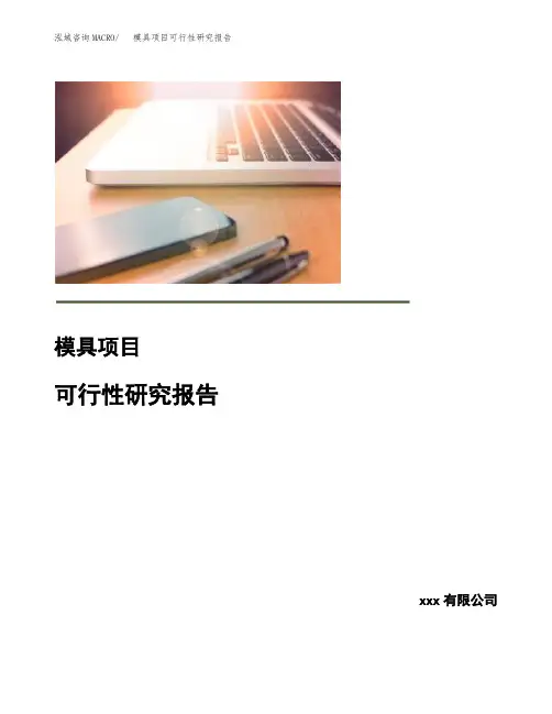 (可编辑)模具项目可行性研究报告