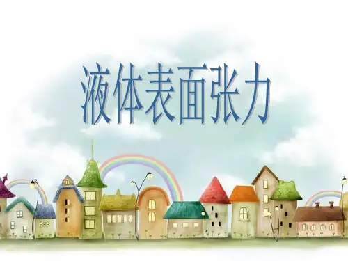 水的张力 PPT