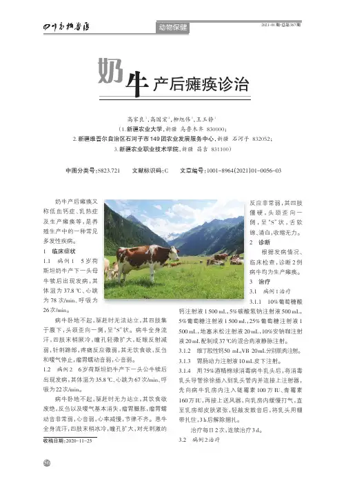 奶牛产后瘫痪诊治