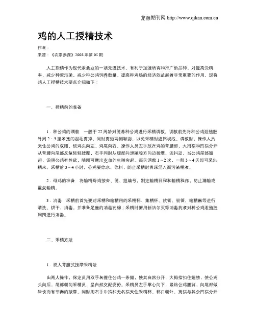 鸡的人工授精技术