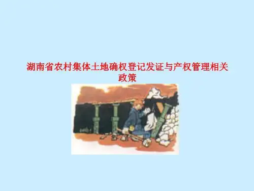 湖南省农村集体土地确权登记发证与产权管理相关政策