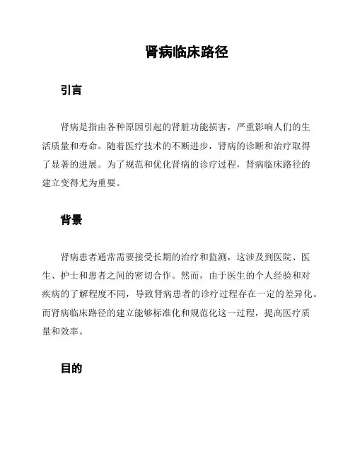 肾病临床路径