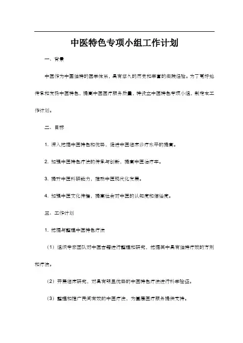 中医特色专项小组工作计划