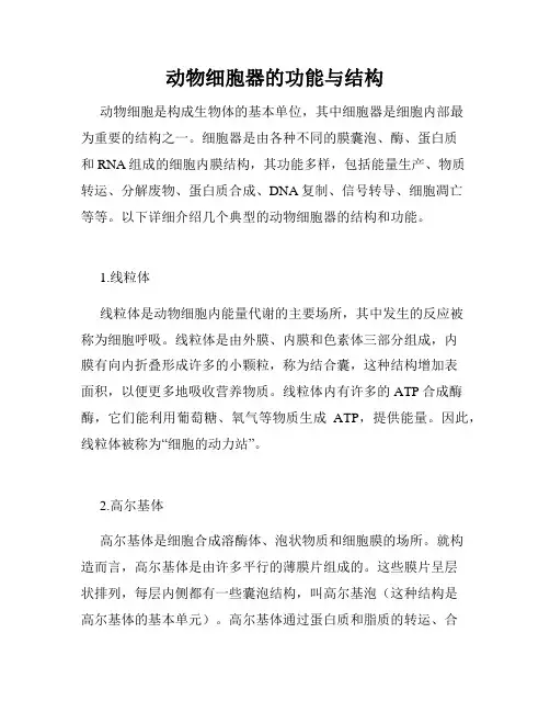 动物细胞器的功能与结构