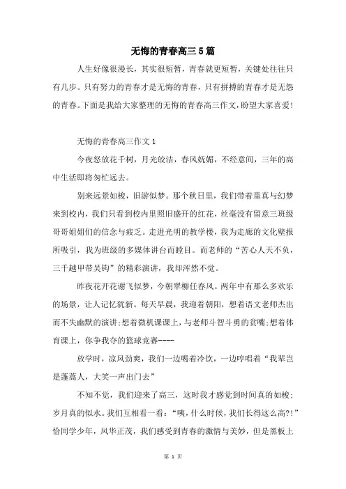无悔的青春高三5篇