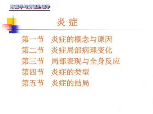 炎症的概念与原因PPT课件