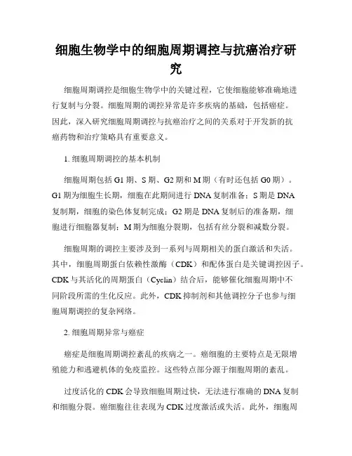 细胞生物学中的细胞周期调控与抗癌治疗研究