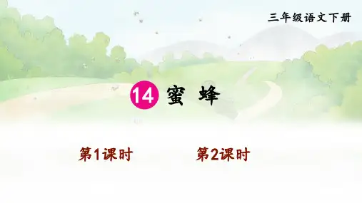 部编人教版语文三年级下册第14课《蜜蜂》课件PPT