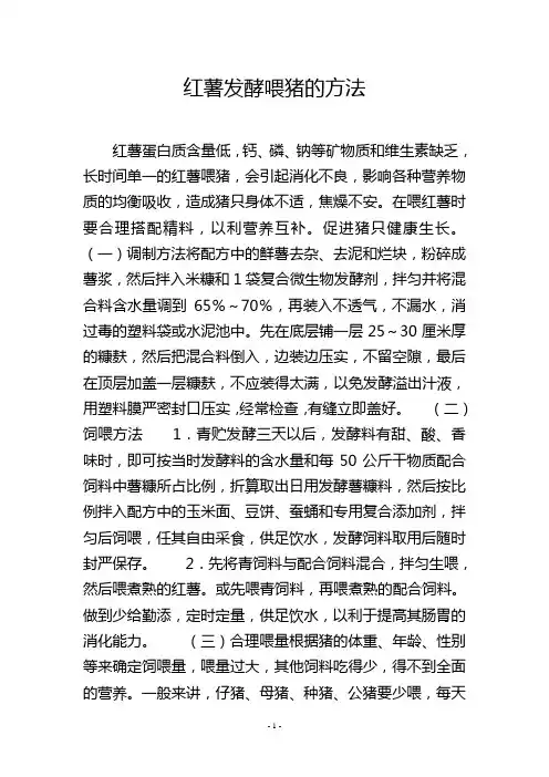 红薯发酵喂猪的方法
