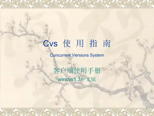 Cvs使用指南ppt课件