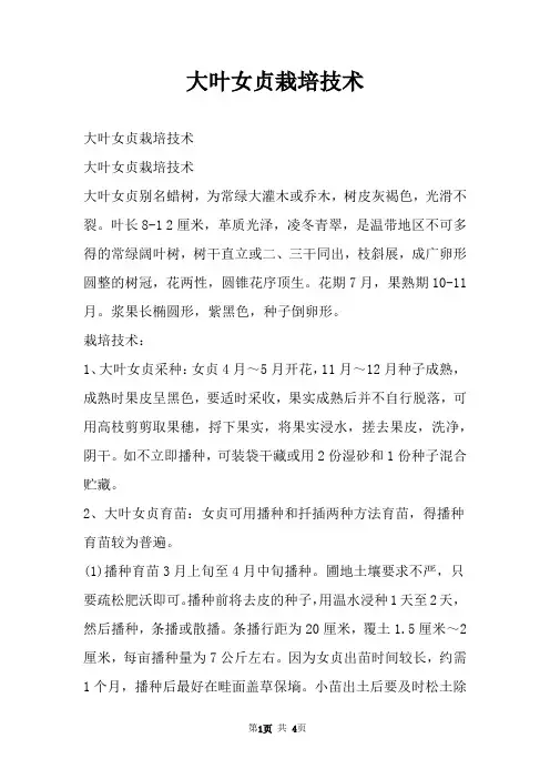 大叶女贞栽培技术