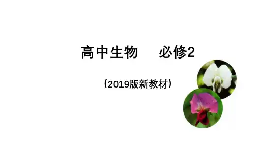 必修二复习课件高一下学期生物人教版必修