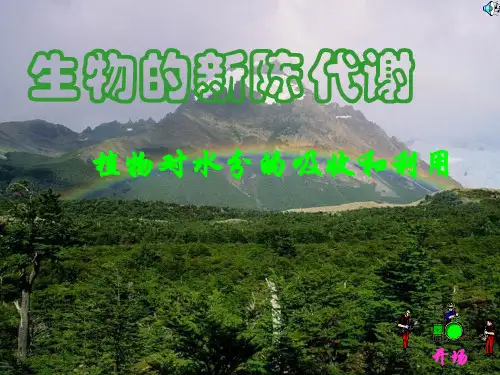 植物对水分的吸收和利用制作ppt课件