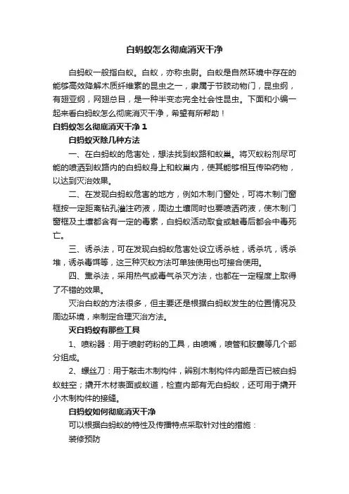 白蚂蚁怎么彻底消灭干净