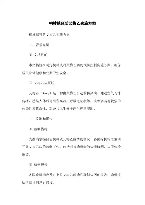 桐林镇预防艾梅乙实施方案