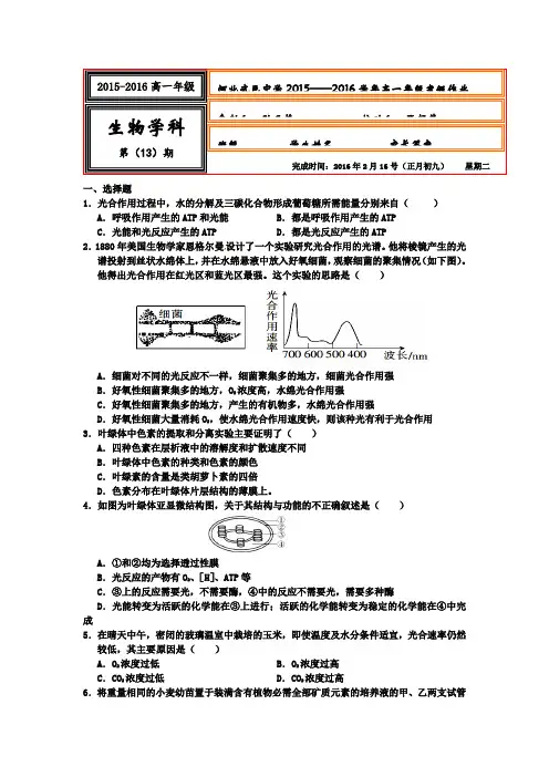 河北省武邑中学2015-2016学年高一上学期生物寒假作业13 Word版含答案