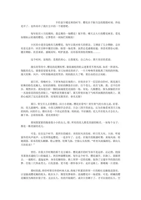 又见樱花