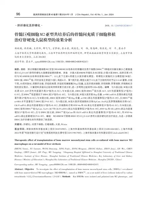 骨髓巨噬细胞M2亚型共培养后的骨髓间充质干细胞移植治疗肝硬化大鼠模型的效果分析