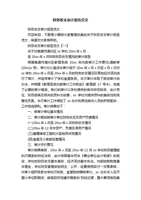 财务收支审计报告范文
