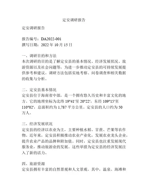 定安调研报告
