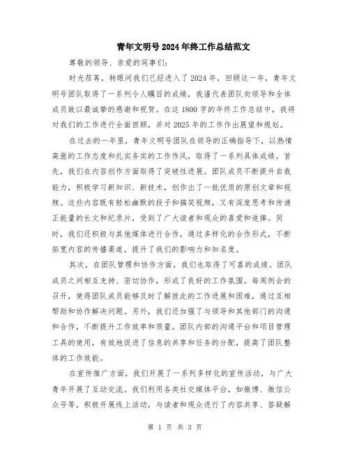 青年文明号2024年终工作总结范文