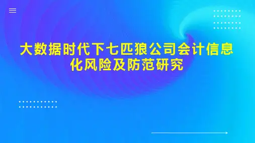 大数据时代下七匹狼公司会计信息化风险及防范研究