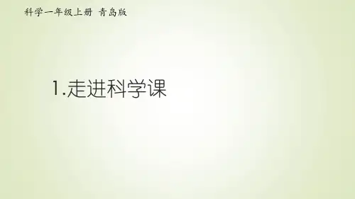 小学科学青岛版(六年制)一年级上册第1课《走进科学课》课件