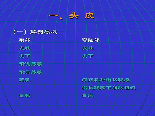 头部外伤的CT诊断