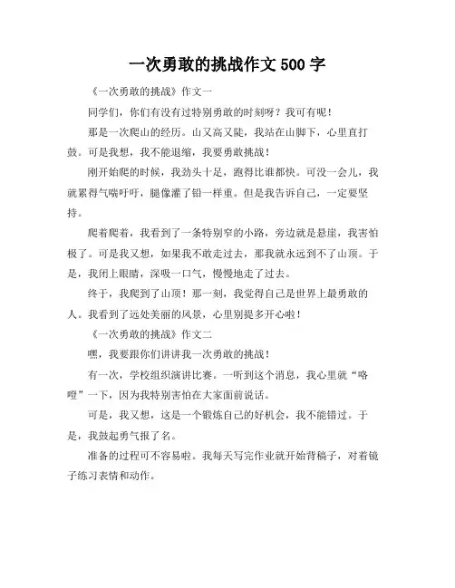 一次勇敢的挑战作文500字