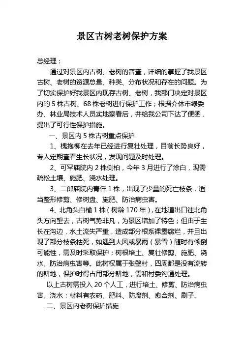 景区古树保护方案