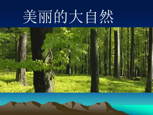 美丽的大自然PPT