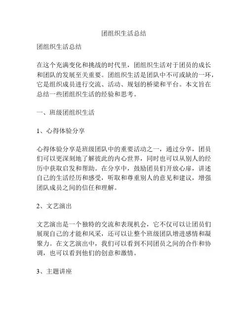 团组织生活总结