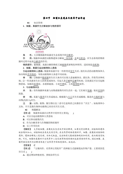 新人教版生物八年级上册-知识讲解  细菌和真菌在自然界中的作用