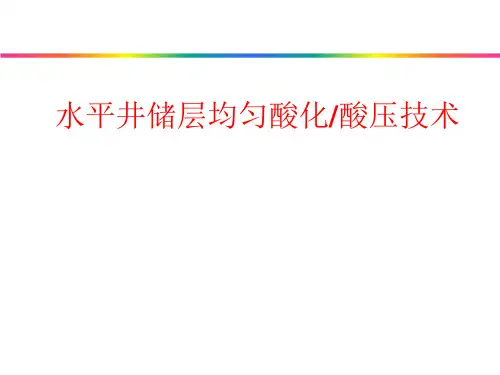 水平井储层均匀酸化酸压技术精品PPT课件
