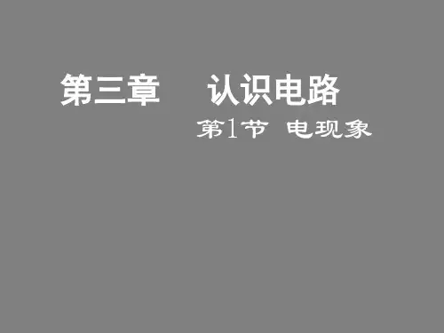教科物理九年级上册第三章第1节 《电现象》(共31张PPT)