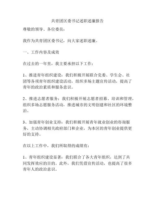 共青团区委书记述职述廉报告