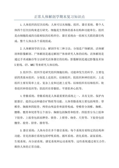 正常人体解剖学期末复习知识点
