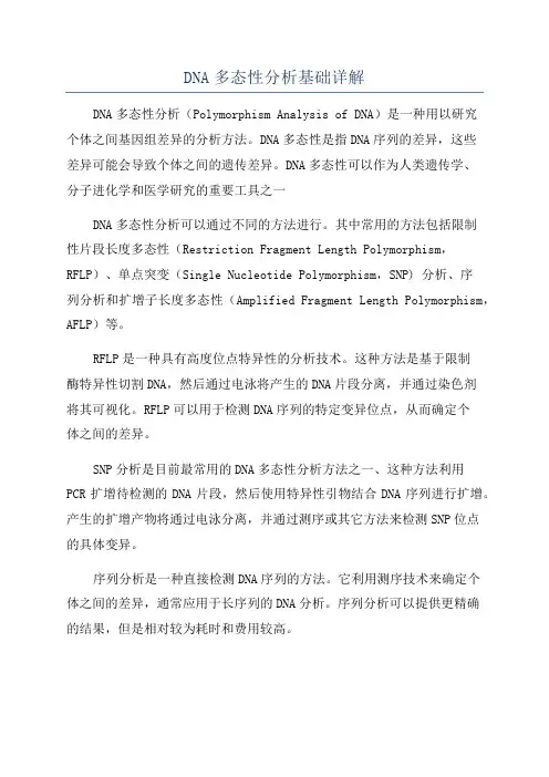 DNA多态性分析基础详解