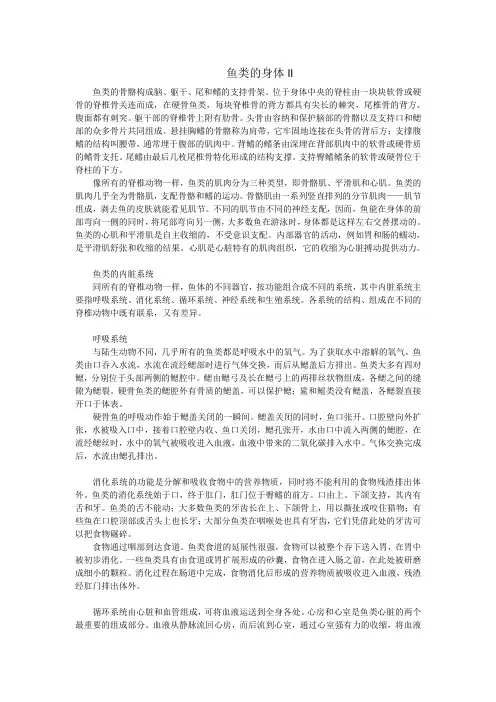 鱼类